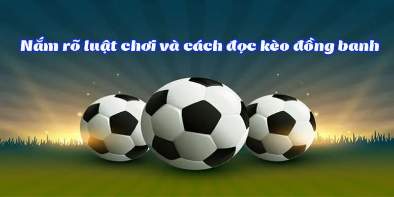 Nguyên tắc đọc kèo chấp hòa chuẩn không cần chỉnh